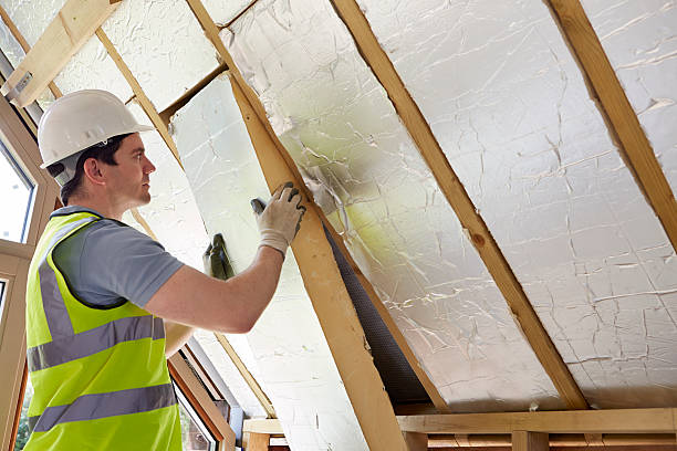 Best Insulation Maintenance and Repair in Mechanicsville, MD